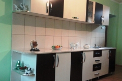DSC01008